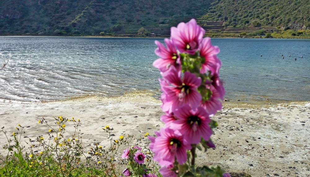 primavera-a-pantelleria-lago-specchio-di-venere-marco-cirinesi